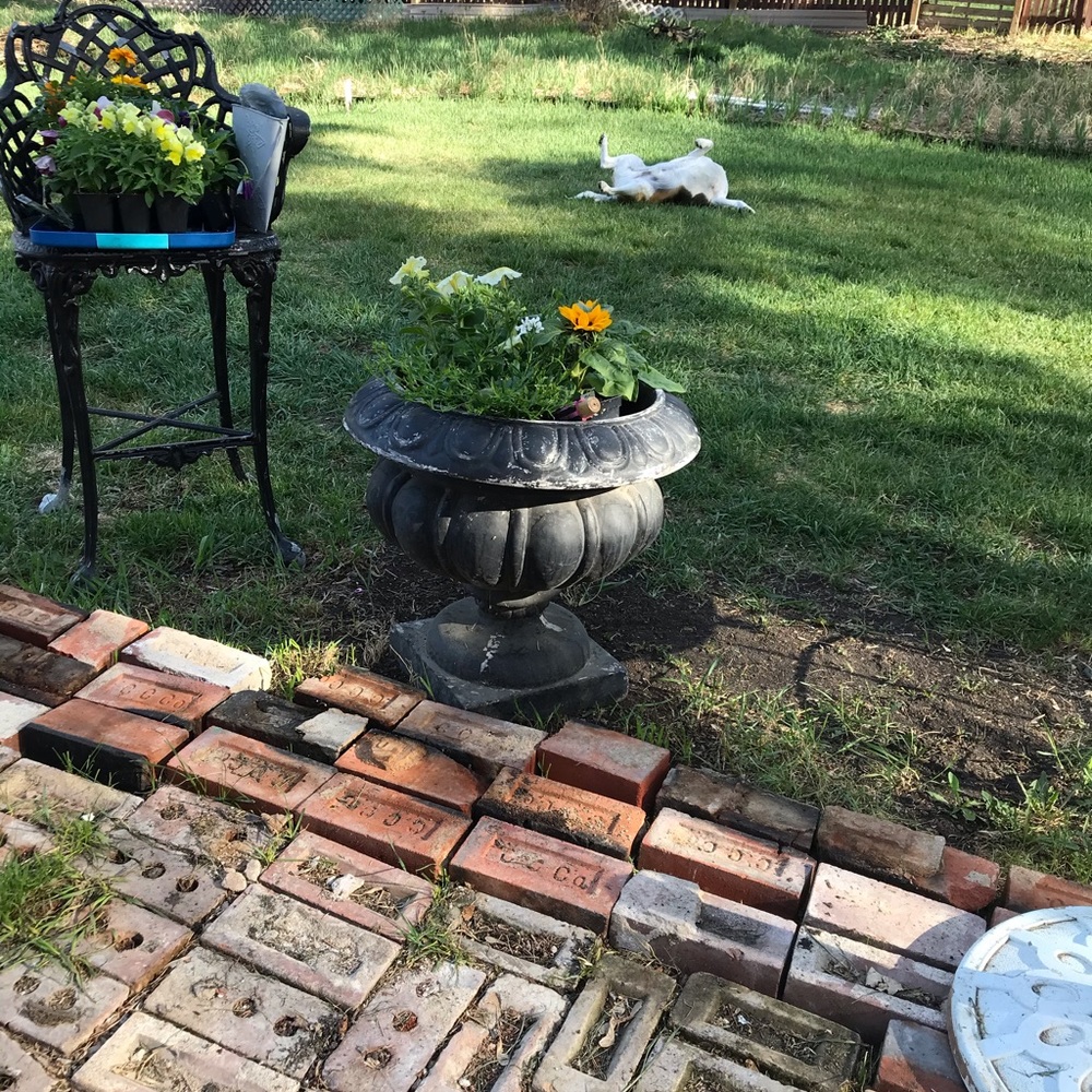 🌟🌟🌟🌟🌟  FIVE STAR SELLER